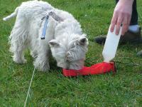 Klik op de foto voor groter formaat